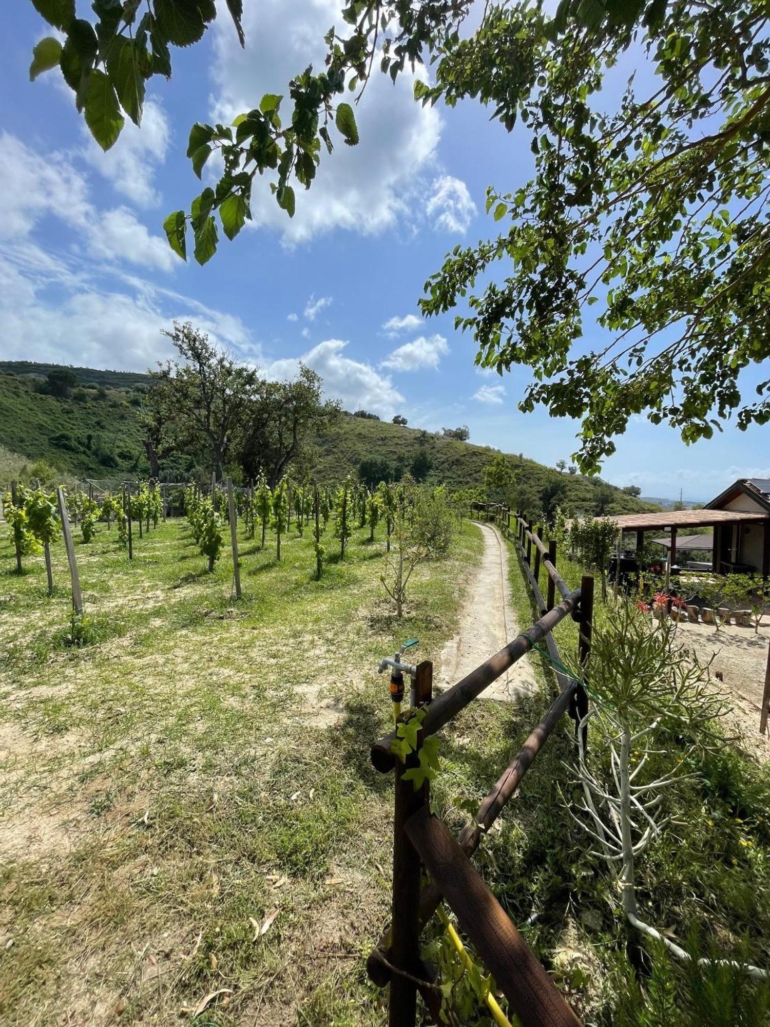 Casa Natura 40 Паргелия Екстериор снимка